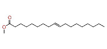 Methyl (E)-9-octadecenoate